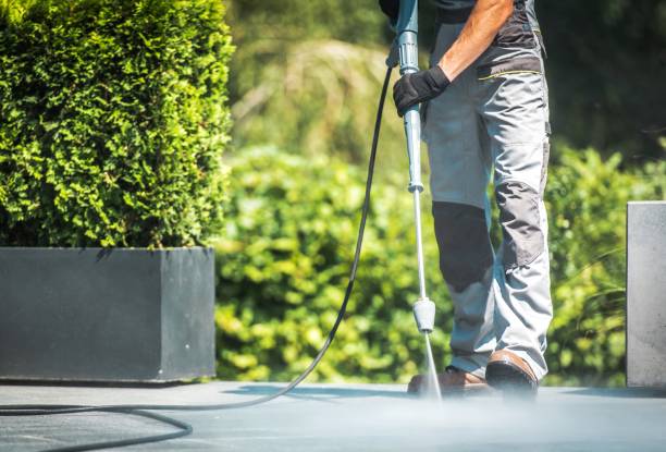 Best Building Exterior Washing  in Seeley Lake, MT