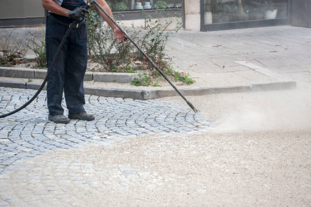 Best Dumpster Area Cleaning  in Seeley Lake, MT