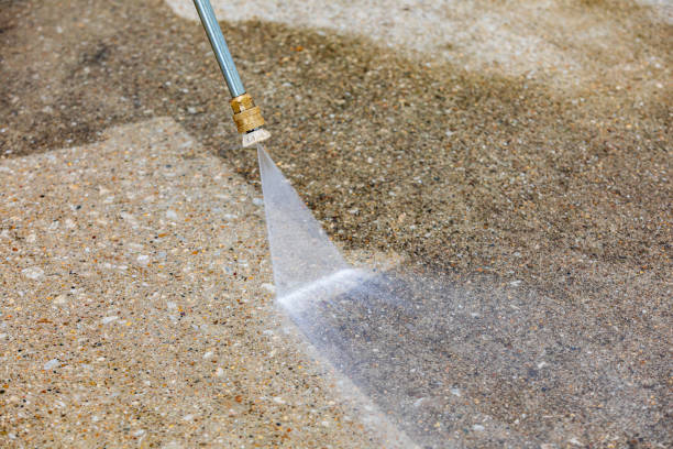 Best Animal Enclosure Cleaning  in Seeley Lake, MT