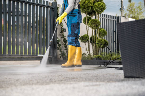Animal Enclosure Cleaning in Seeley Lake, MT
